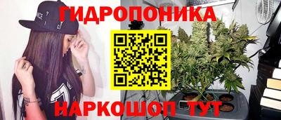 ешки Волжский