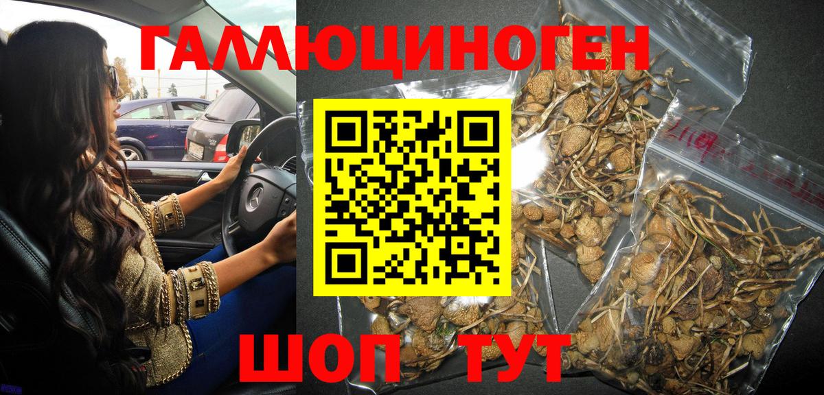 Ростов Великий  Галлюциногенные грибы GOLDEN TEACHER  Галлюциногенные грибы Psilocybine cubensis  Вход с VPN 