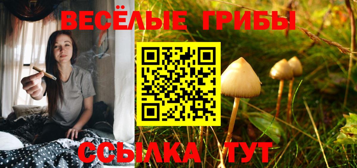 Галлюциногенные грибы прущие грибы Ростов Великий